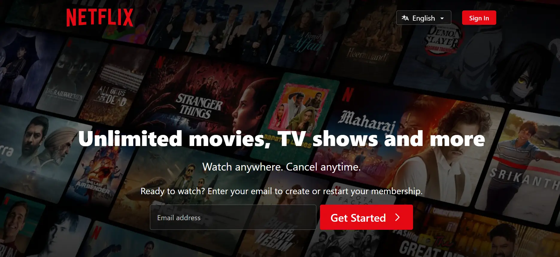 Netflix Subscription-Based Programs